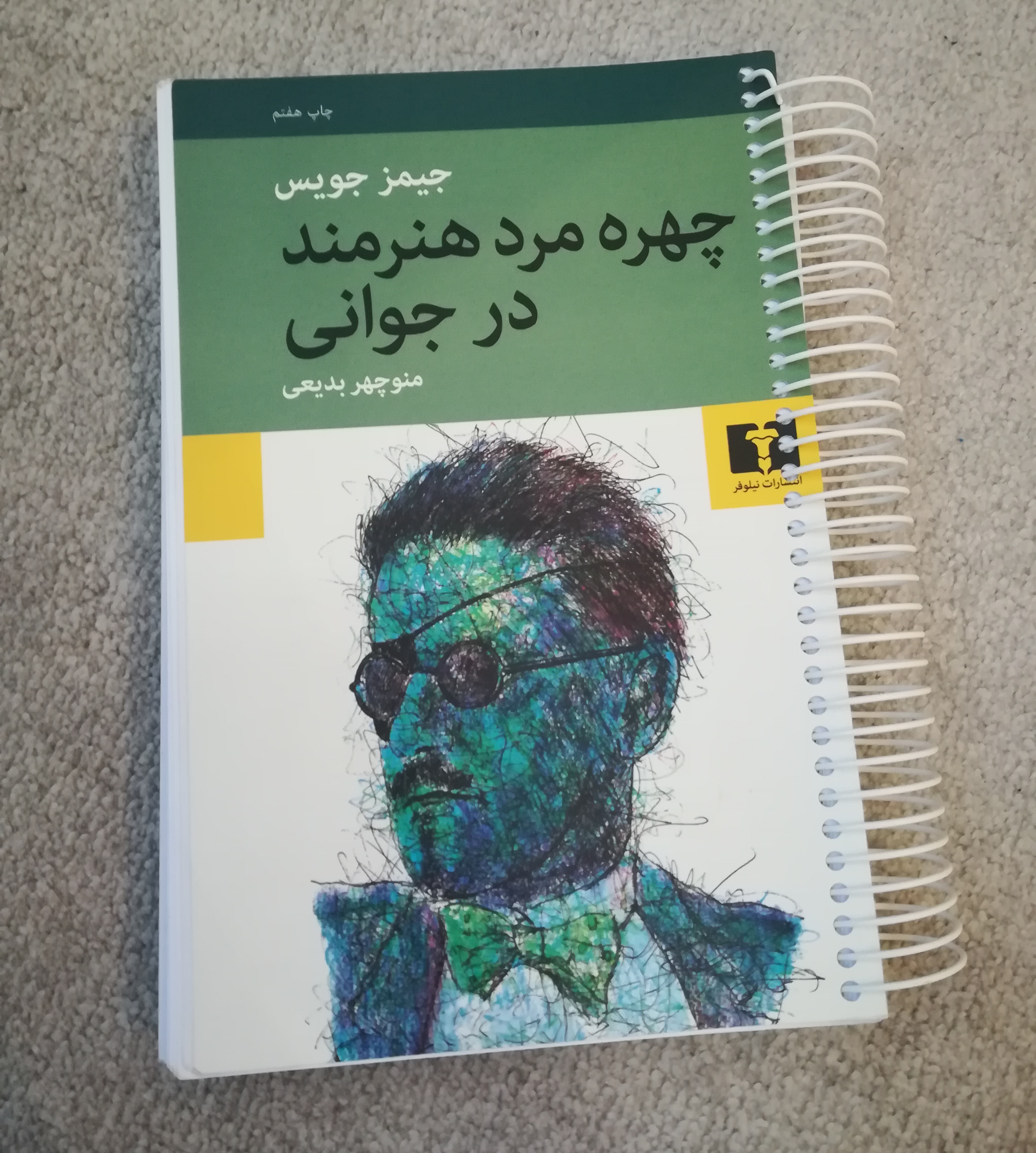 کتاب چهره ی مرد هنرمند در جوانی نشر نیلوفر